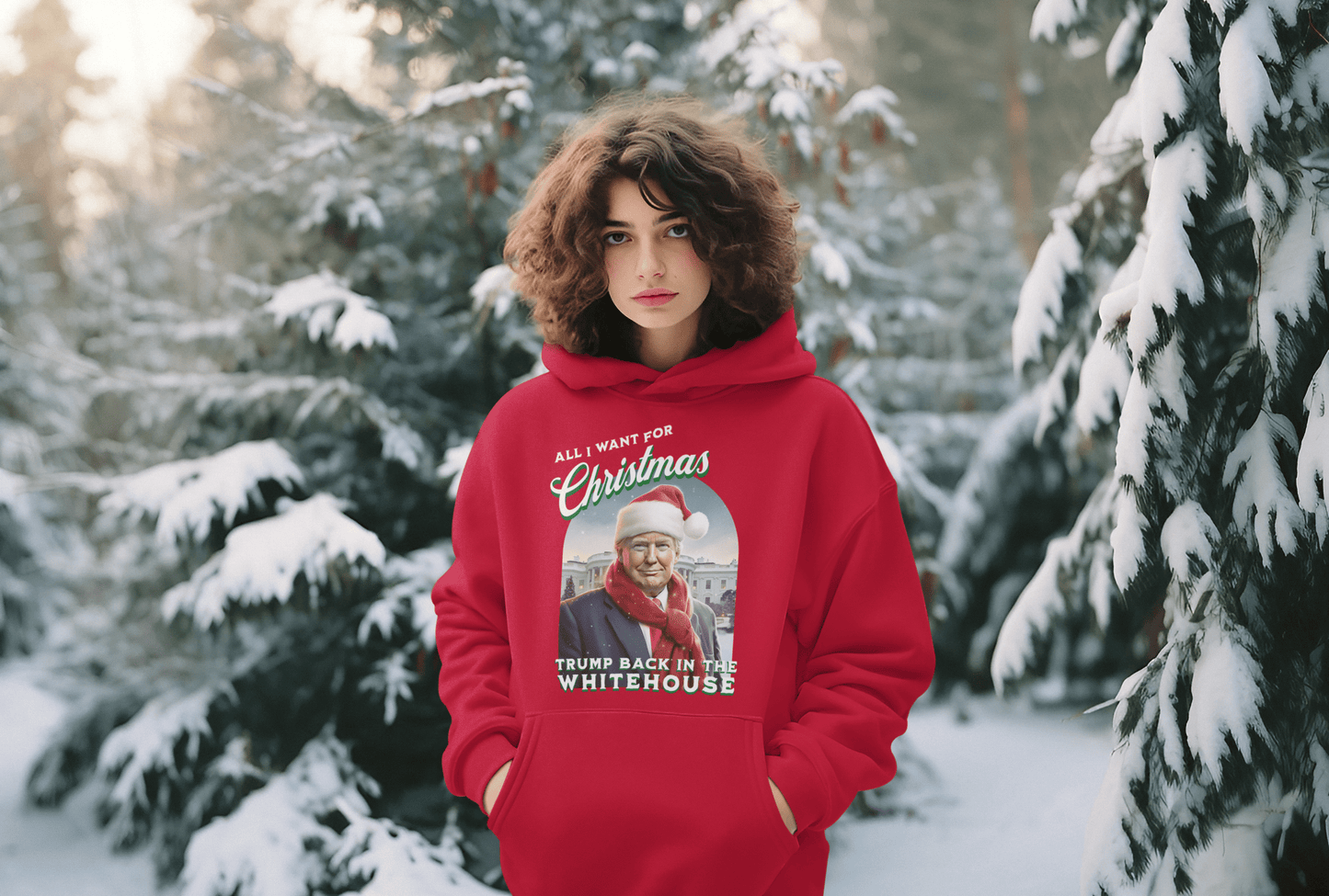 All I Want For Christmas Trump Back In Whitehouse Hoodie