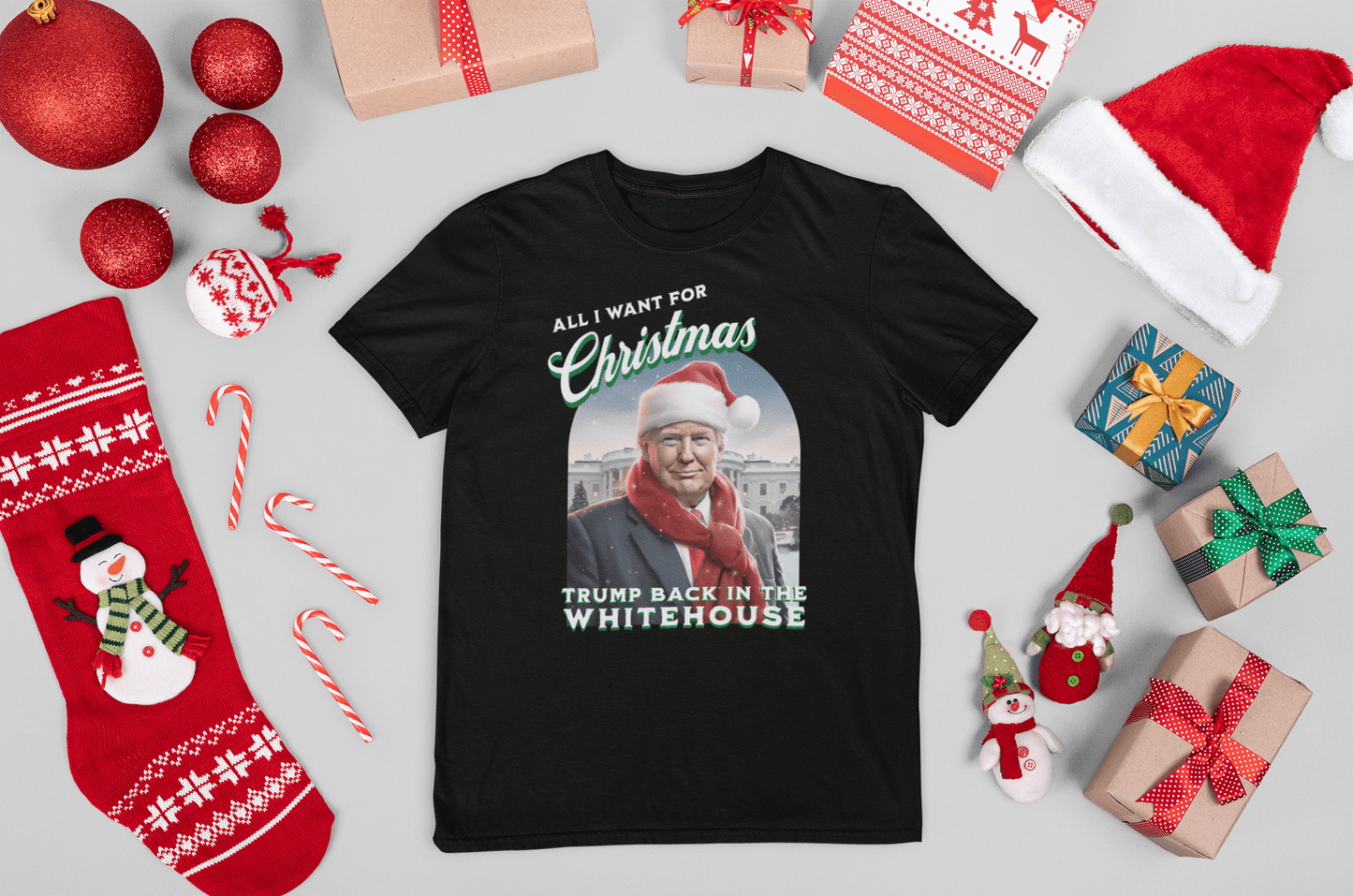 All I Want For Christmas is Trump Back In the Whitehouse T-Shirt