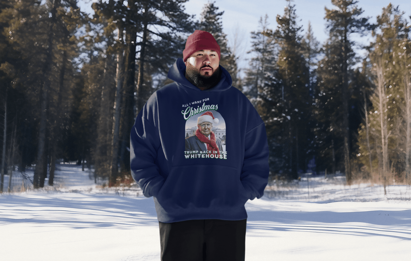 All I Want For Christmas Trump Back In Whitehouse Hoodie