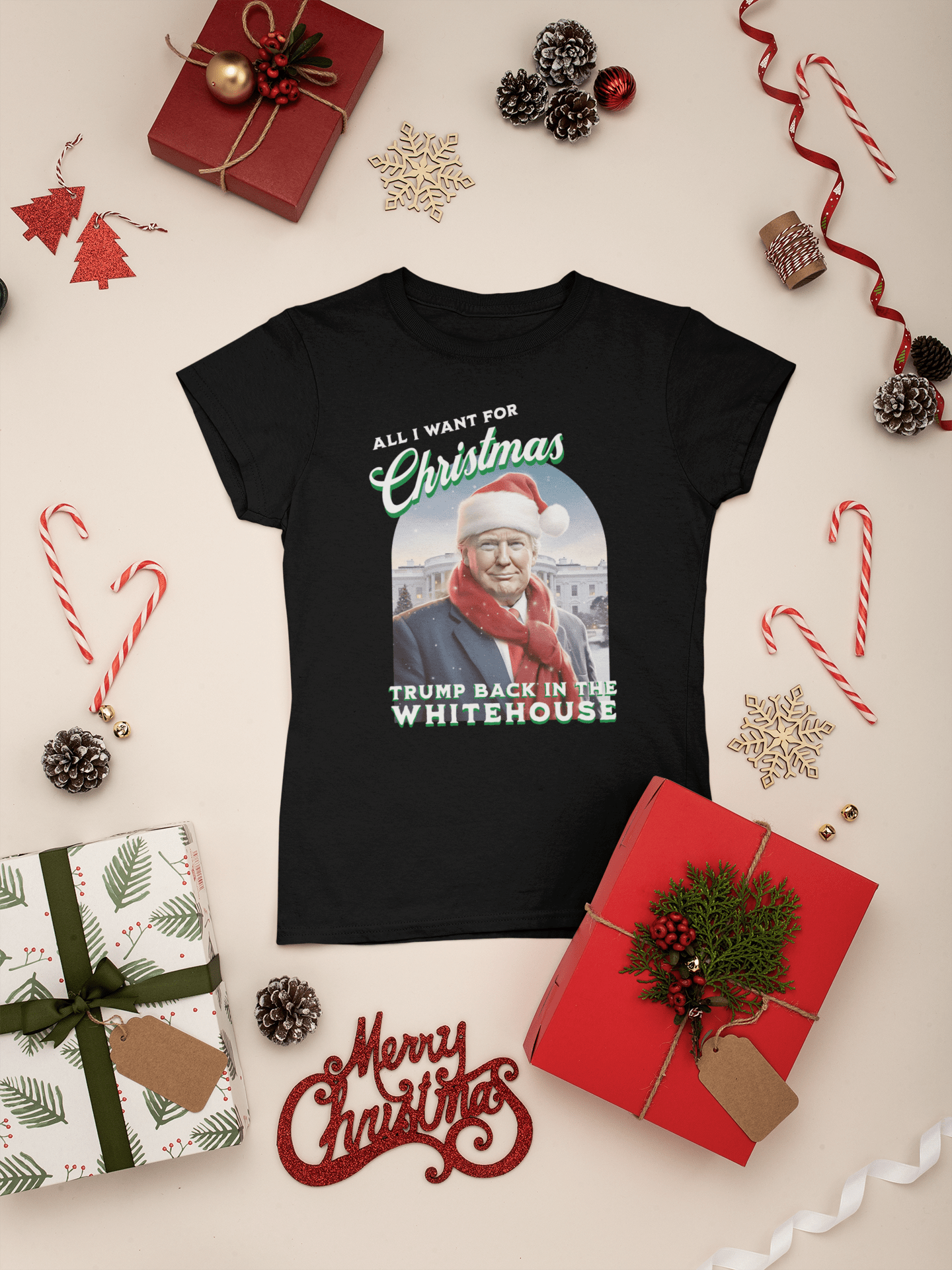 All I Want For Christmas is Trump Back In The Whitehouse Women's Tee