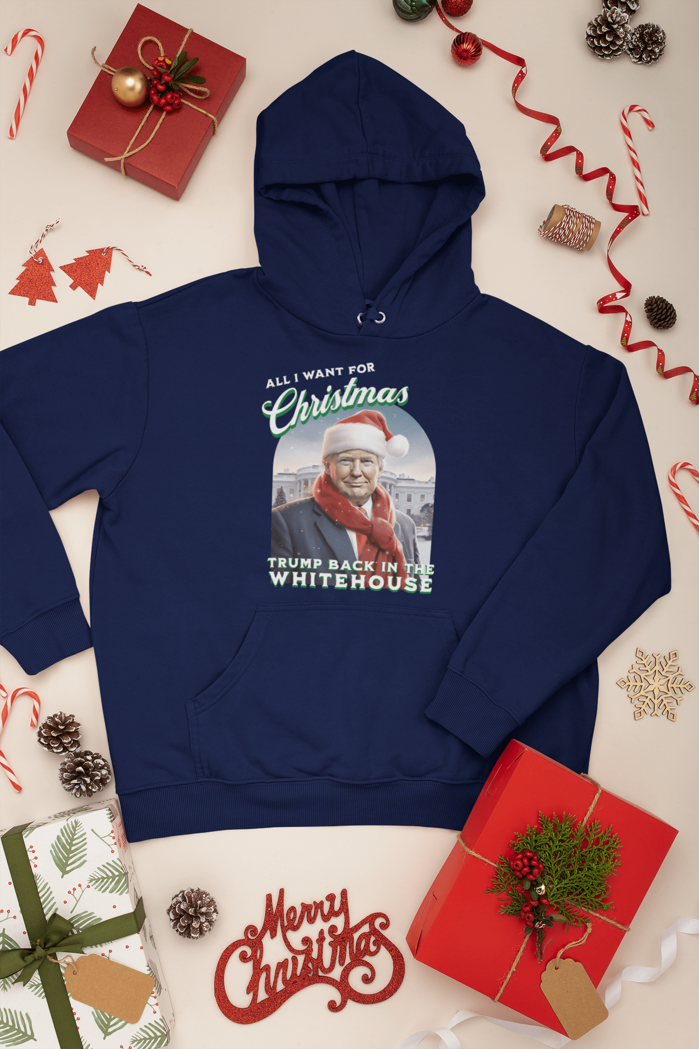 All I Want For Christmas Trump Back In Whitehouse Hoodie