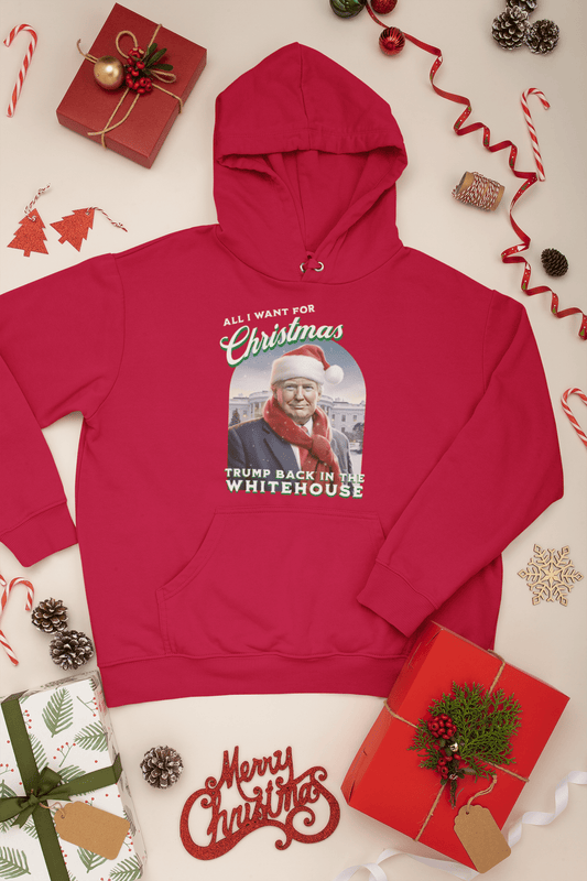 All I Want For Christmas Trump Back In Whitehouse Hoodie